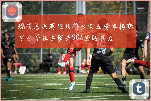 现役总决赛场均得分前五榜单揭晓字母哥独占鳌头SGA紧随其后